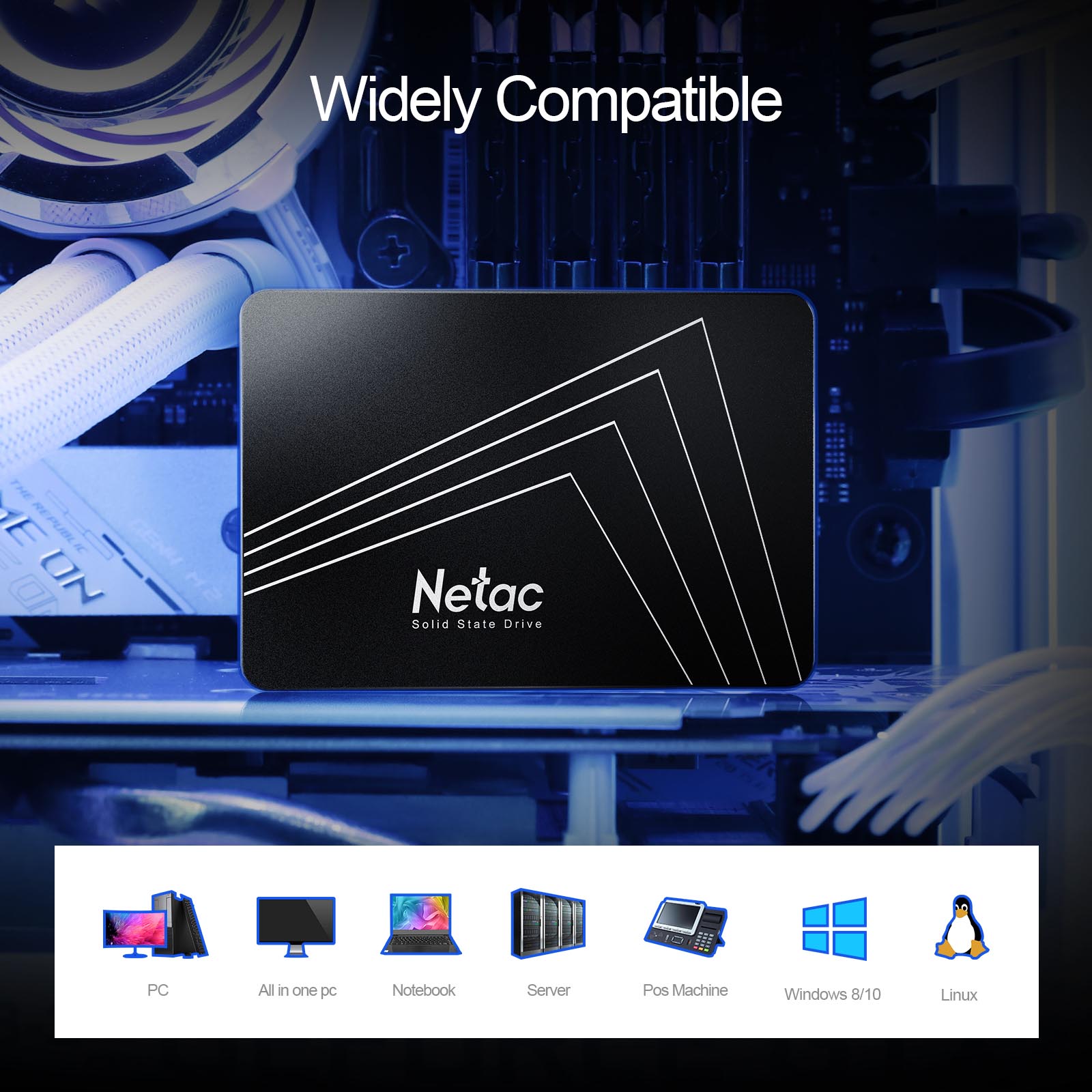 Netac Hard Drive SATA SSD 128G - Samsung Ssd Evo 870 ulasan dan harga