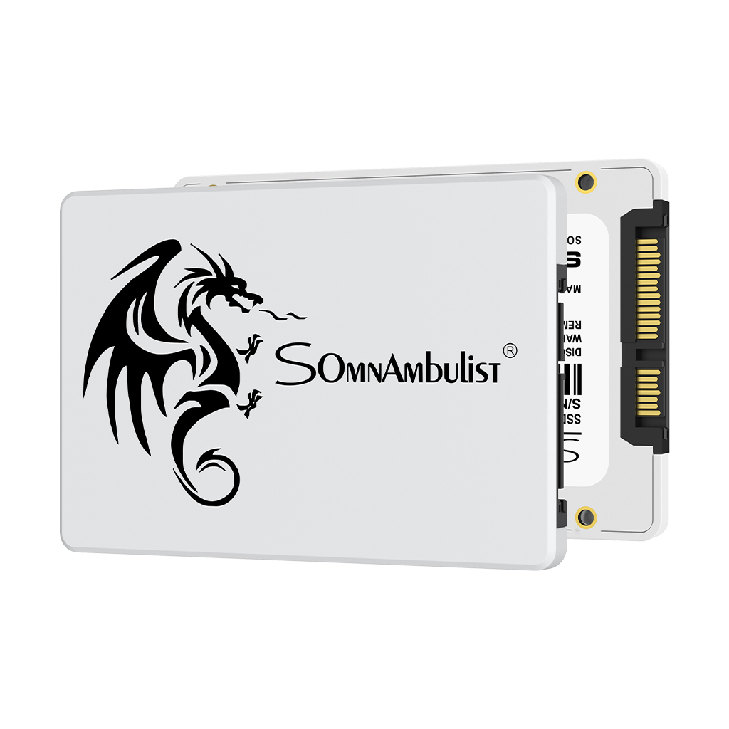 SomnAmbulist SSD 2.5 64GB 128G - Samsung Ssd Evo 870 ulasan dan harga